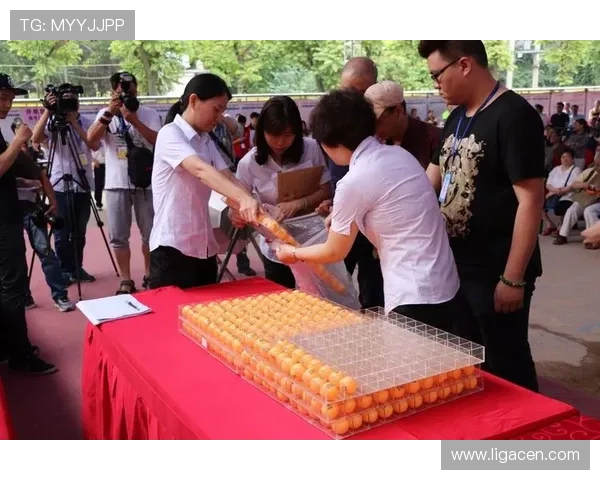 凯发集团娱乐平台：严格遵守行业规范，确保每一位玩家的公平与安全